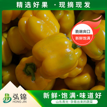 �Fժ���Բ����S�ʽ� �Sɫ������߲�ˮ�����������rˮ���ʽ�