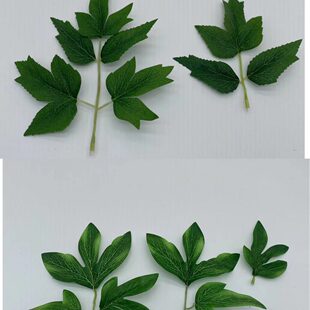 Simulation leaf rose leaf peony leaf hydrangea leaf wedding decorative decoration supplies simulation green plant accessories material supply