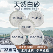 ʯӢɰ�S�����l��ƺ����ɳ��ѩ����ɳ�~���쾰��ɰ΢���^�ٲ���ɳ