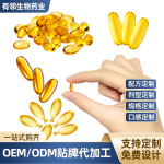 软胶囊玫瑰油DHA磷虾油凝胶糖果鱼油软胶囊代加工一站式服务