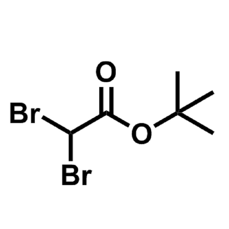 2,2-二溴乙酸叔丁酯  CAS:69713-21-9  98%  现货供应  价格详询