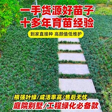 �ձ������������ͺ��`̤ͥԺ�@�־G����ƺֲ�����������������