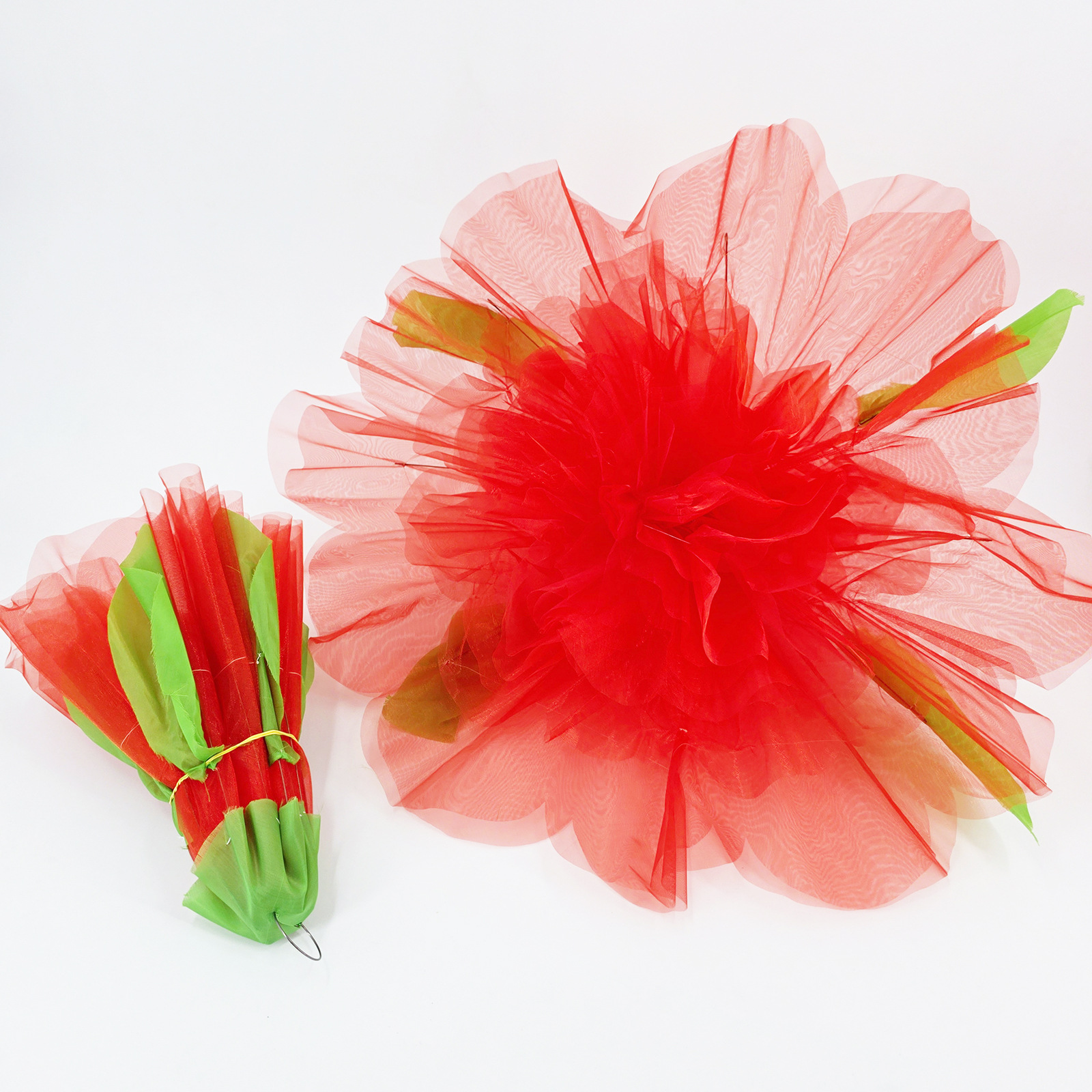 G0670 flashing peony flowers (middle)