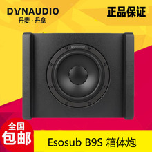 丹拿（DYNAUDIO）汽车音响Esosub B9S系列重低音炮功放原装喇叭