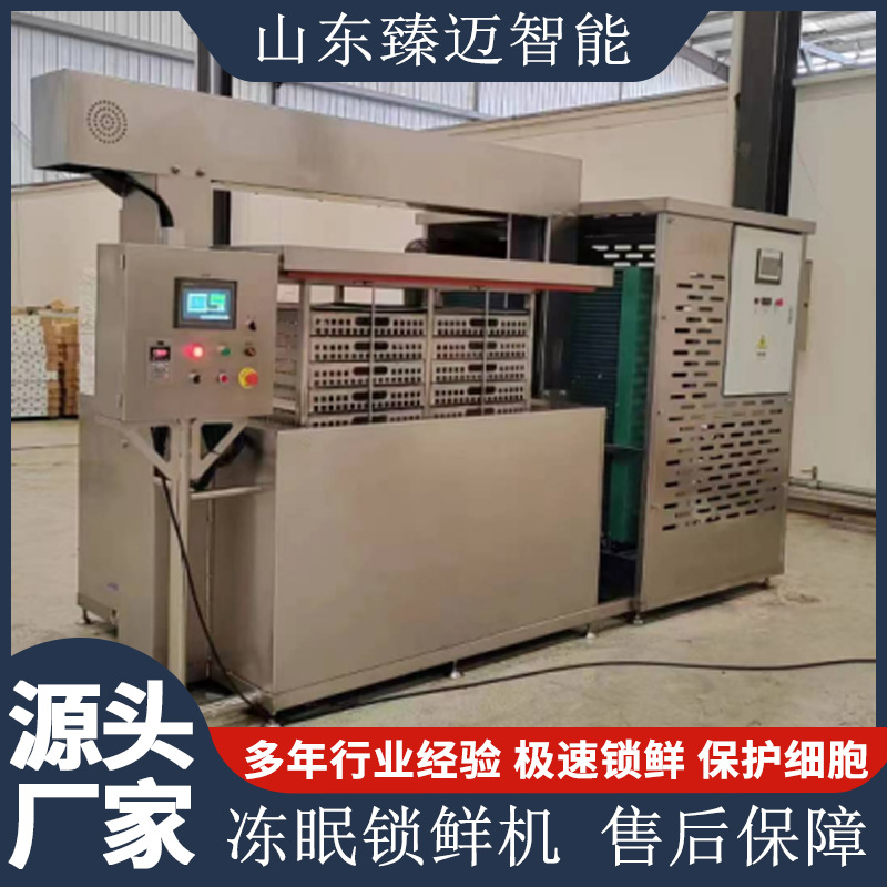 浸液式冻眠机源头厂家 鱼水果海鲜冷冻冻眠锁鲜商用速冻锁鲜设备