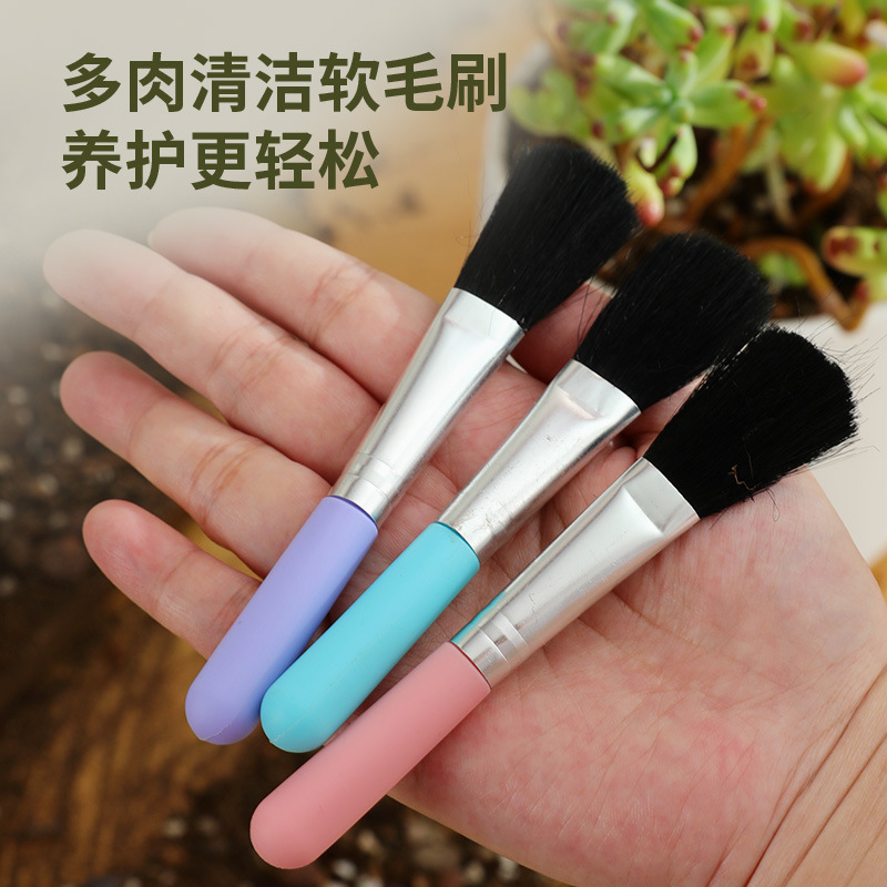 园林工具多肉毛刷彩色/粉/紫/蓝/微景观绿植盆栽种植去灰尘小毛刷