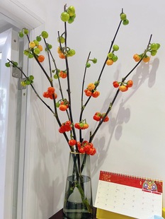 Yunnan Fresh Japanese Small Pumpkin Cut Branches Domestic Hydroponic Living Room Decoration Flowers Small Tomato Cut Fruit Autum Fruit