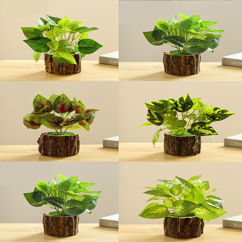 Set de plantas verdes en maceta de 6 piezas K ☆