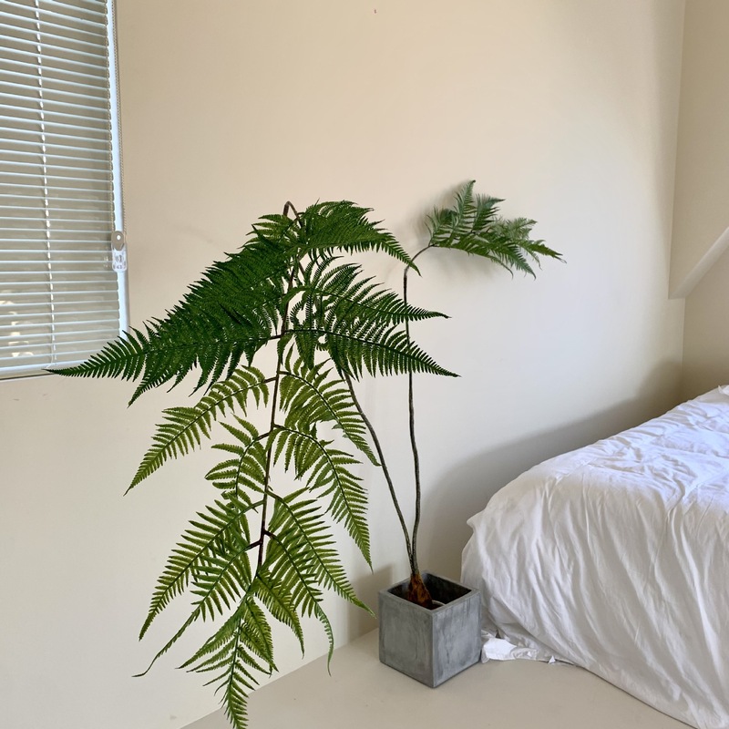 楼夏家シミュレーション緑植金糸猿頭シダ室内ショーウインドー偽植物置物日本風ネット赤禅意盆栽|undefined