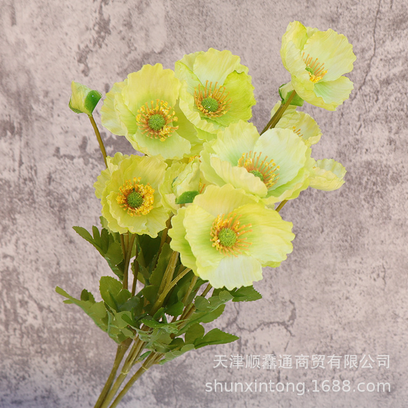 不植绒款虞美人绿色1