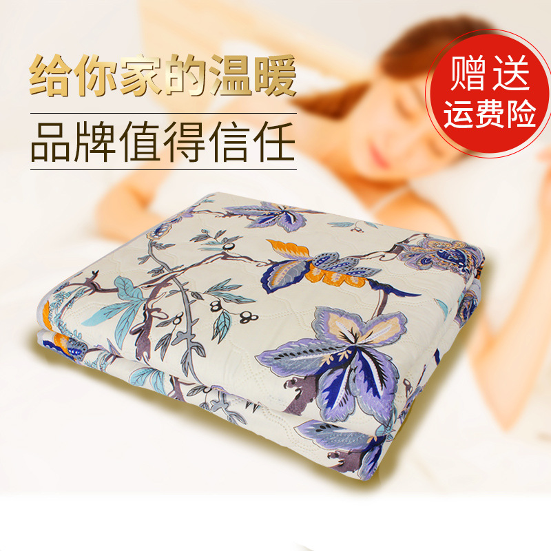 2026 Electric Blanket Single Double Water Heating Electric Blanket 2024 New Full Line Type Cloth Year of the Horse