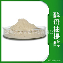 酵母抽提酶 复合专用酶 酵母蛋白水解酶 调味品食品提取酶