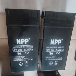 NPP늳NP2-200 2V200AHֱUPS EPSԴ