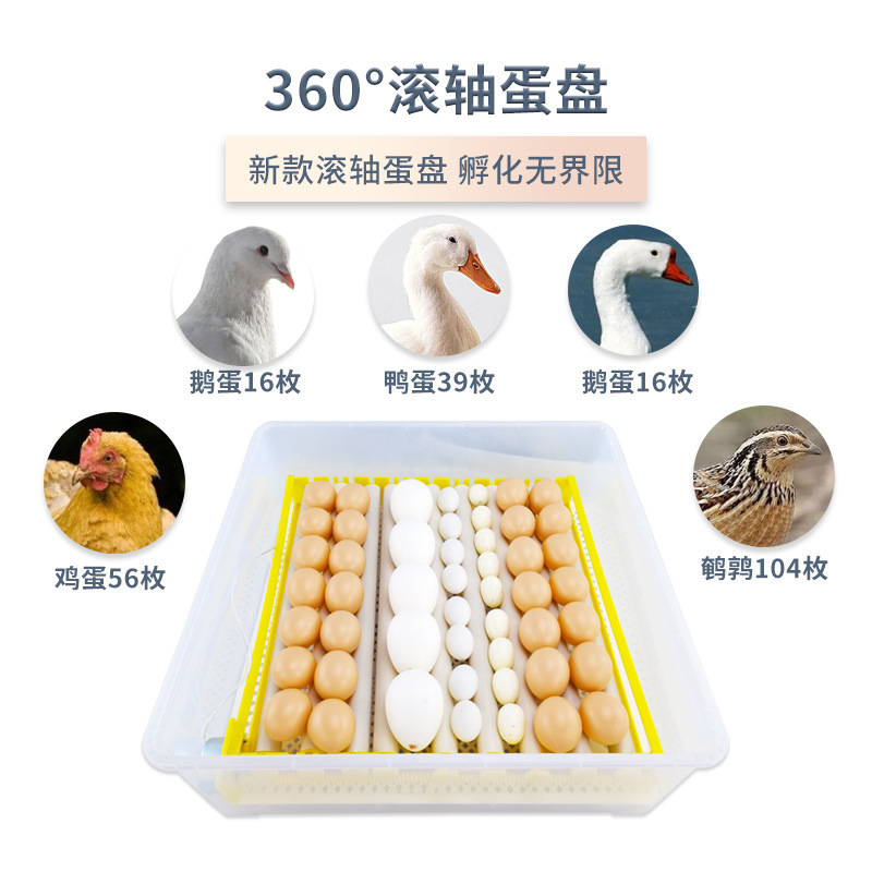 56 rodillo automático mini incubadora pollo pato ganso codorniz hogar incubadora de un solo clic incubadora de huevos
