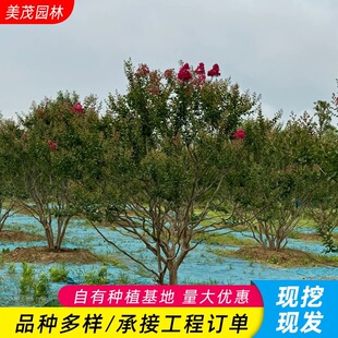 ������ޱ������ޱ���͘���ͥԺ�������͘侰�^�G����ޱ����