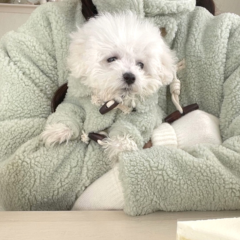 개 가을 겨울 견인 애완 동물 옷 테디 비숑 슈나우저 프렌치 두 코기 소형견 포메라니안 겨울