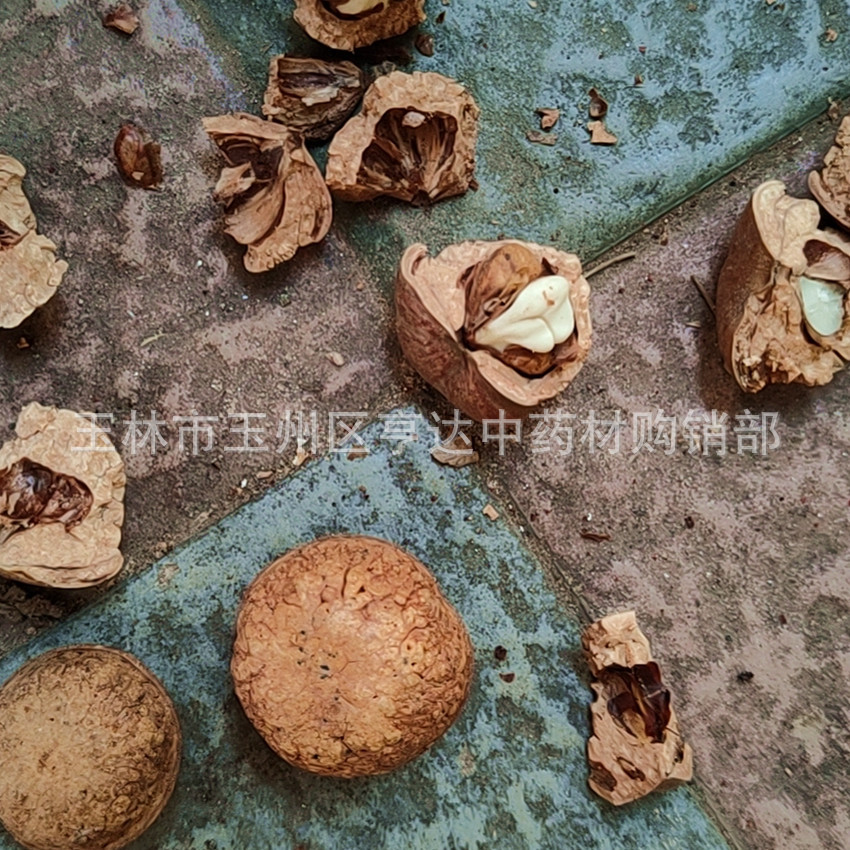 wx_camera_1639646783859_副本