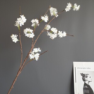 ����ѩ�򻨻��ᭇ�ѻ��쾰��֧�ٻ�ܛ�b�[���͏d�����zӰ�������l