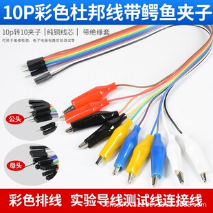 �Űĸ�^�D�{�~�A��10�l��ɫ���yԇ�����{�~�A�Ӿ�30CM5ɫ