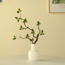 ӭins�Gֲ�ٻ����Rֲ��͏d�廨�b��[��������ʽӭ�I