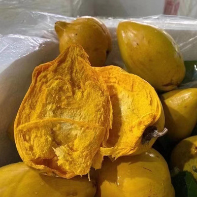 Hainan Eggs, fruit Eggfruit fresh fruit Tropical fruit wholesale One piece On behalf of