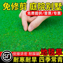 ̺ݲļఫ޼`̤ͥԺeߠƤƺN