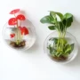 亚克力墙上客厅挂壁式养鱼缸