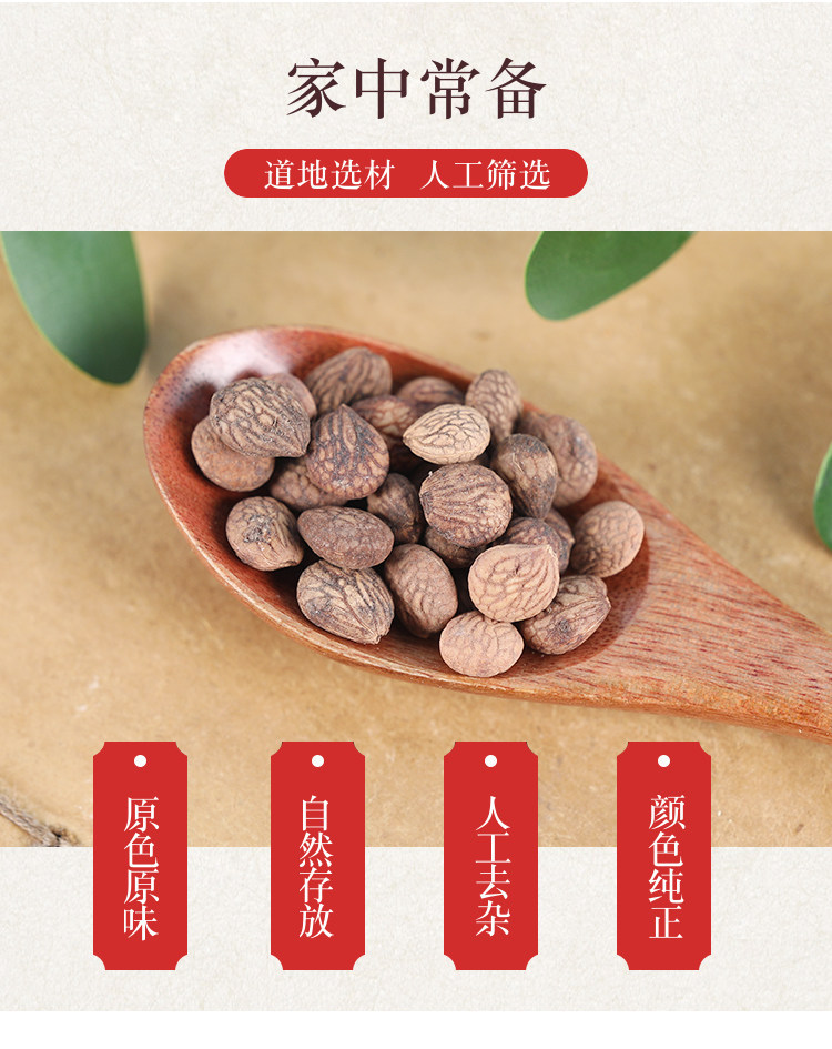 Wild Rui Ren Kernels Rui Ren Zi 500g Dried Prinsepia Seeds Traditional TCM Herb overview