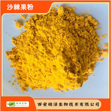 ɳ������Sea buckthorn powder�½�ɳ�����{���� ɳ���� ����ɳ��