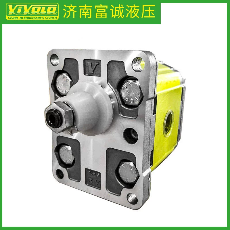 Итальянский Шестеренчатый насос VIVOLO XV2P-D/C X2P5302EPOA Гидравлический насос VIVOLO оригинальная Заводская поставка