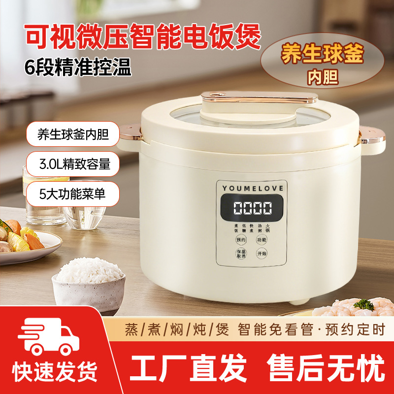 Small 3L Rice Cooker Household Multifunctional Mini Rice Cooker 2 to 3 People Non-Stick Pot Large Capacity Micro Pressure Cooker Wholesale