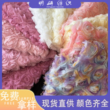 新款满幅立体大玫瑰盘带绣花面料 网纱婚纱礼服连衣裙舞台服布料