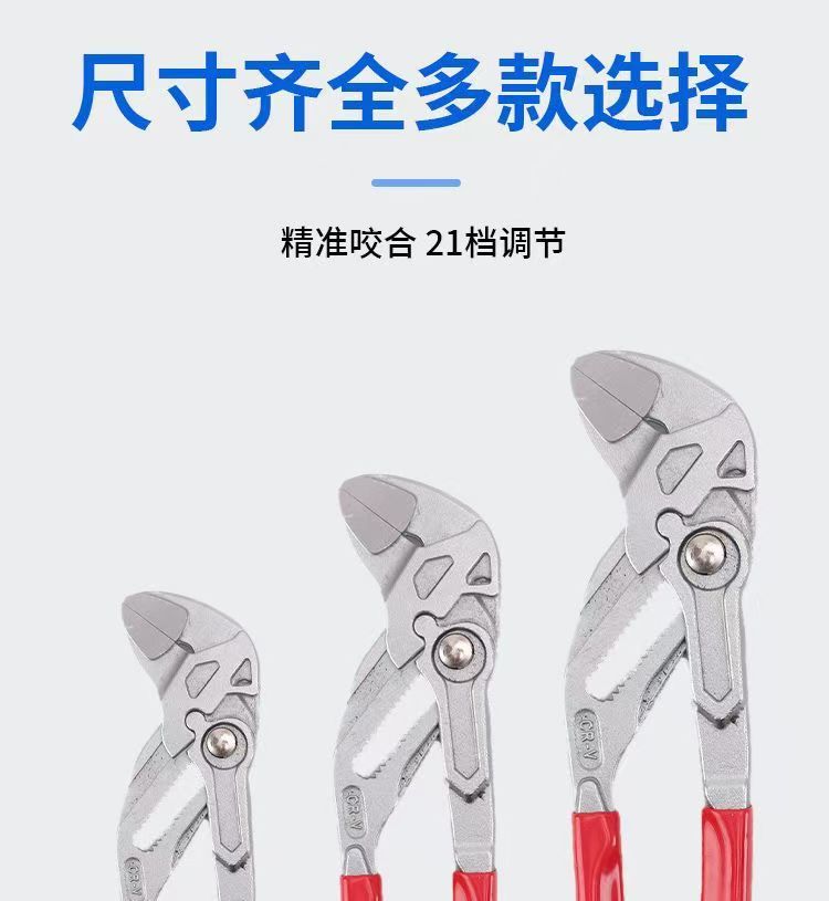 微信图片_202506031621384