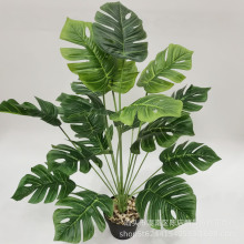 ����ֲ���ָ��^�z�~��18�^�����~��������@�ҾӾG�����̾Gֲ�b�