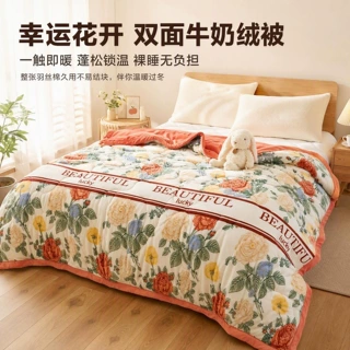 现贷代发新款加厚牛奶绒被芯冬被双面绒加厚保暖学生宿舍单人被子