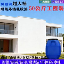 防霉抗碱外墙乳胶漆 净味工程抗裂耐候不掉粉水性外墙乳胶漆涂料