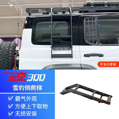 TUFF FAB Snow Leopard Roof rack - tank-300-snow-leopard-side-climbing-ladder