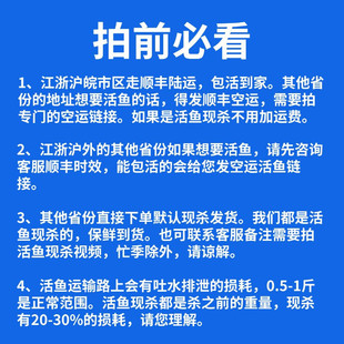 �g�؞�����ǧ�u�����~ ���l���^�~�����~�I�~���r�~� 5-40���ͶY