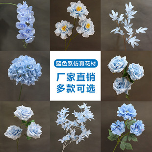 ��c�{ɫ���滨10ֻ�bõ�彑��ĵ������Y�û�ˇ�b廨·������