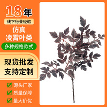 �羳����ж��~�����~��֧�ٗl�Gֲ�쾰���~�b������~�ٗl��Ȧ