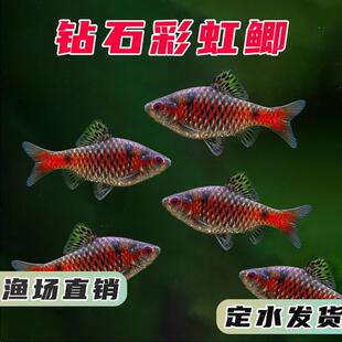 �ʯ�ʺ��a�M��������ˮ�ͺ����B�Ꭷ�~ԭ���~С�ͻ��wȺ���^�p�~