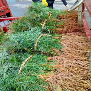 ��ɼ�������ɼ�����ؑcɼ�����F��ɼ�������ɼ�������ɼ����