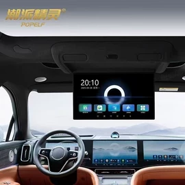 其他汽车内饰;汽车防虫网;其他汽车改装