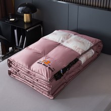 2025新款高端羽绒被立体埃及棉透明款保暖加厚冬被被子被芯