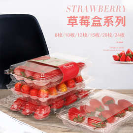 【草莓季常卖包装盒】水果盒 一次性pet透明塑料草莓盒子厂家直销