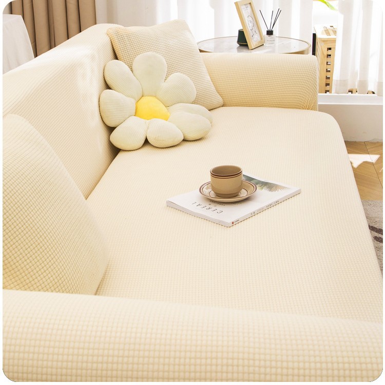 Luz del amanecer - Mi Bai