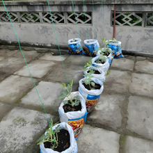 ����ϩ�K�߲˴�������K�����KҰ�I̽�U�K�����K��|�Ғ��K