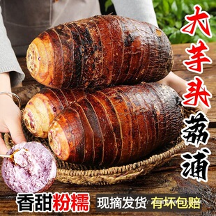 ���ڏV���������^10���߲��ش���������ë��Nֲ�������r���ڰl