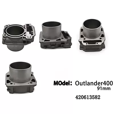 Motorcycle Parts: Brp Cylinder and parts