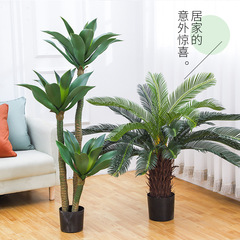 大型仿真盆栽龍舌蘭盆景沙漠熱帶假綠植室內造景裝飾落地擺件批發